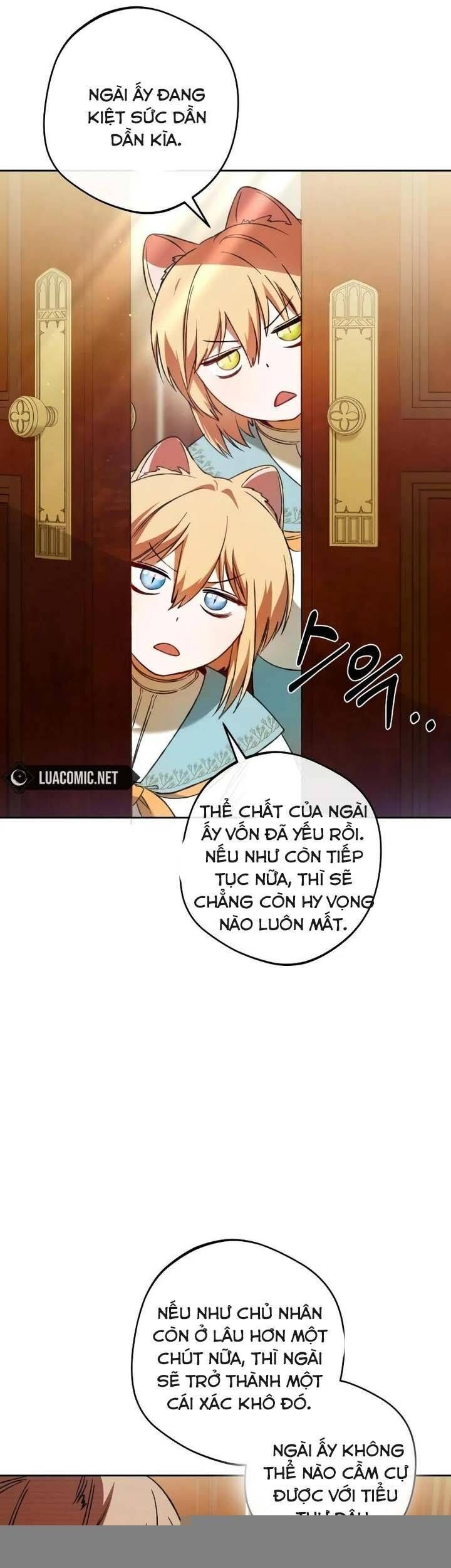 Ch.19 - 5