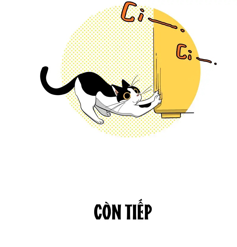 Ch.10 - 8