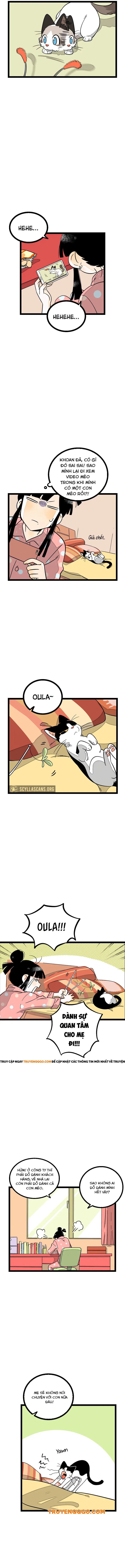 Ch.11 - 3